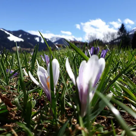 Nagellehen Lejlighed *